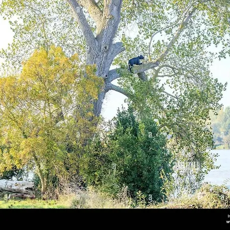 Apartmán Calme Avec Jardin Et Proche De L'aeroport Bouguenais